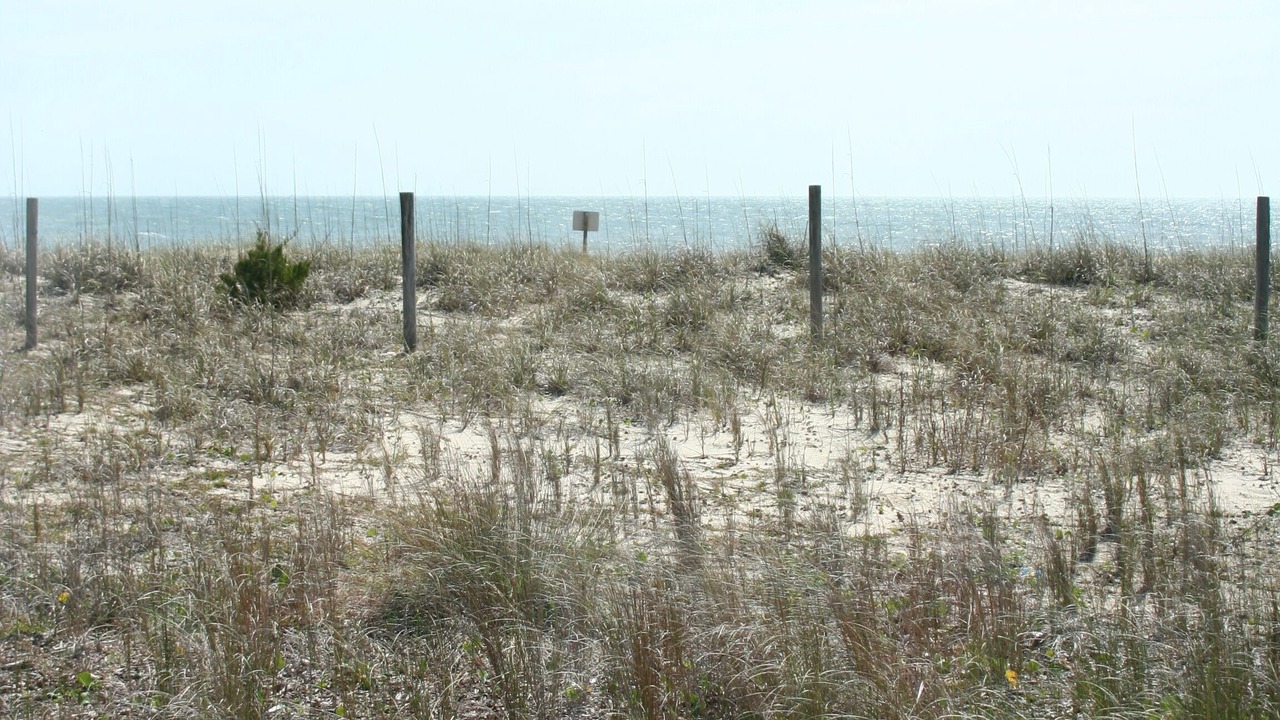 Photo of Others in Kure Beach