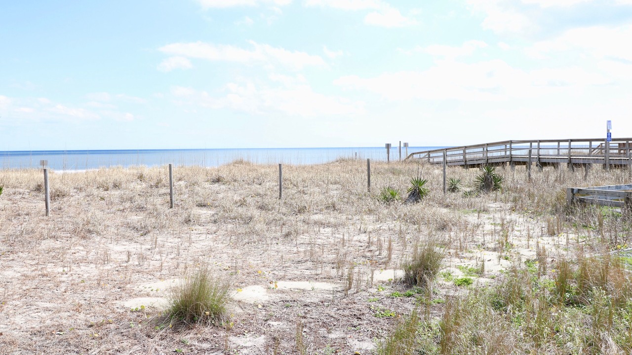 Photo of Others in Kure Beach