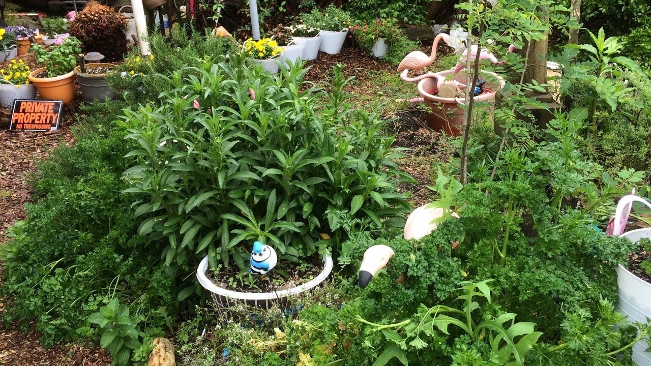 Photo of Outdoor in Avon