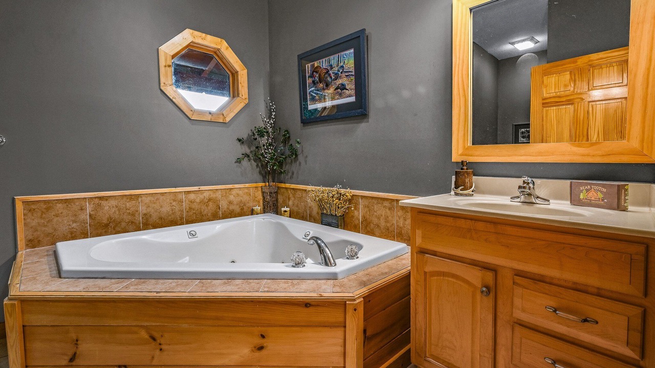 Photo of Bathroom in Smoky Mountains