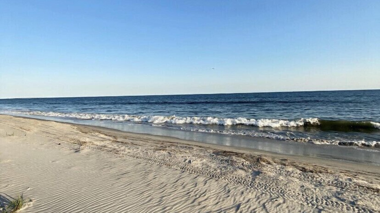 Photo of Others in Long Beach