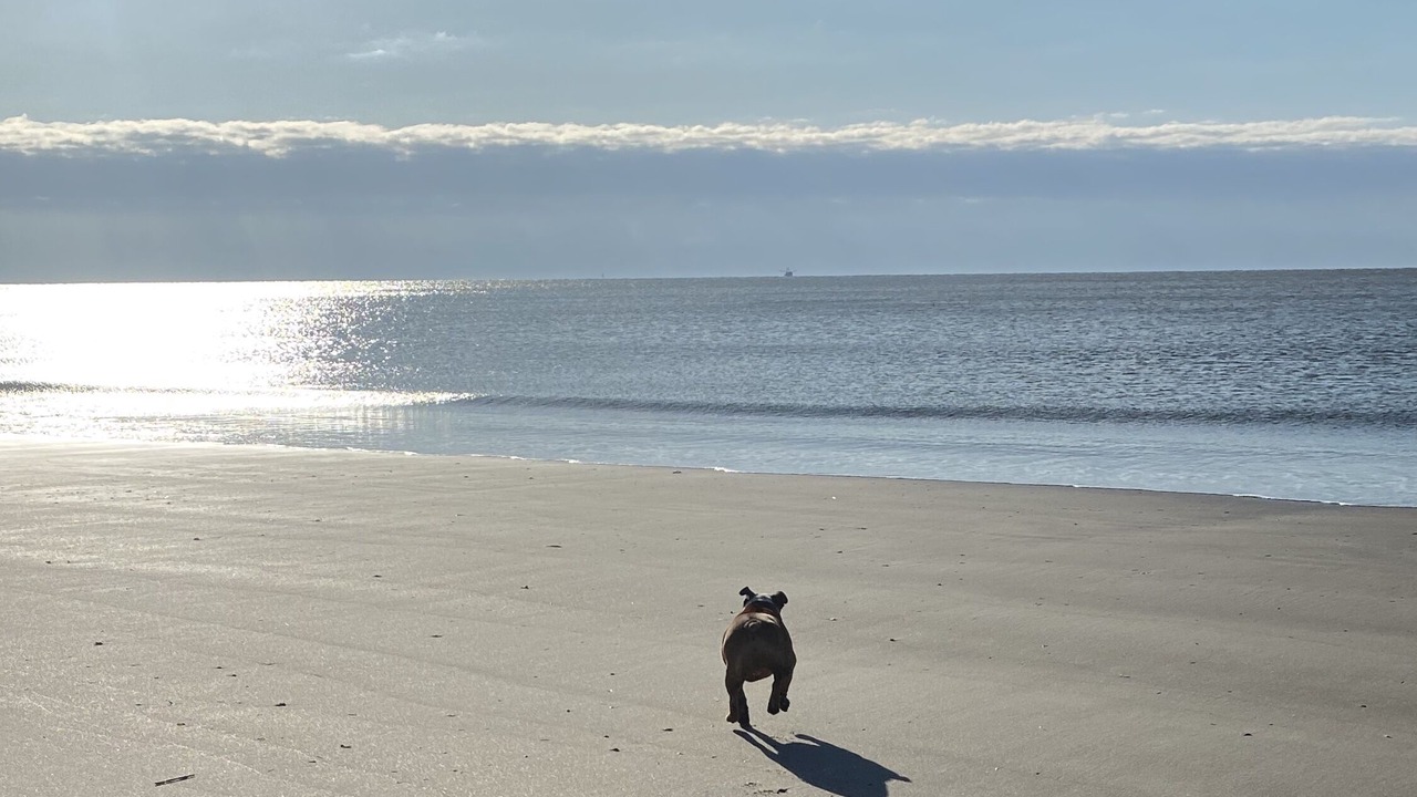 Photo of Others in Long Beach