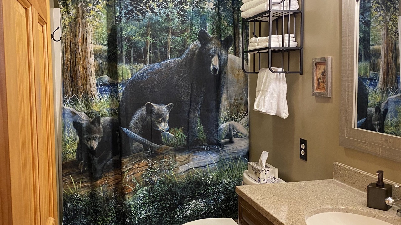 Photo of Bathroom in Gatlinburg