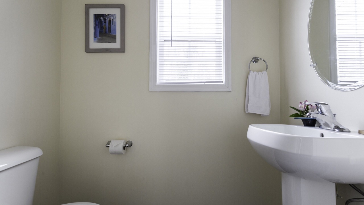 Photo of Bathroom in Woodfin