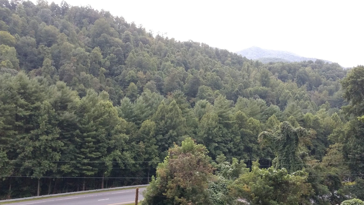 Photo of Others in Sylva