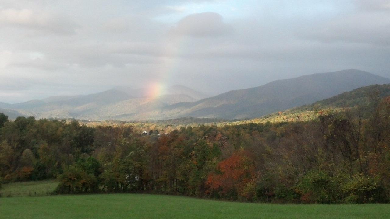 Photo of Outdoor in Nelson