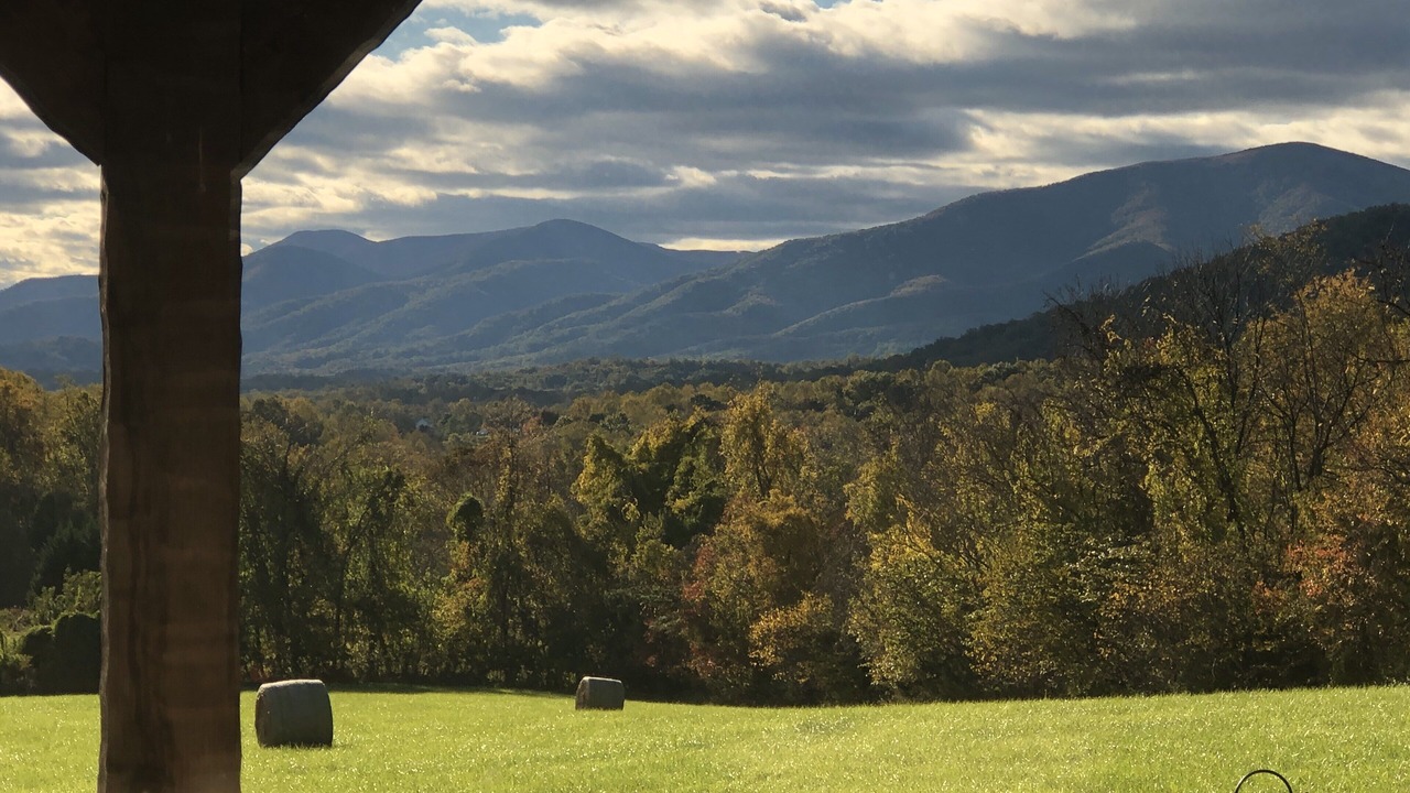 Photo of Outdoor in Nelson