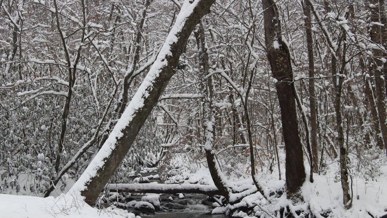 Photo of Others in Saluda