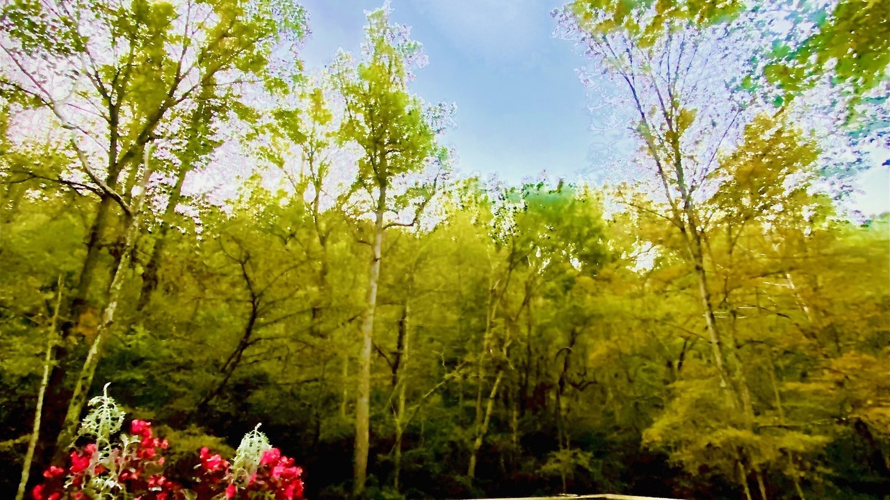 Photo of Outdoor in Saluda