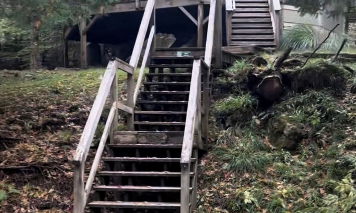 Photo of Others in Beech Mountain