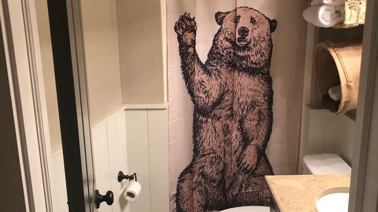 Photo of Bathroom in Beech Mountain