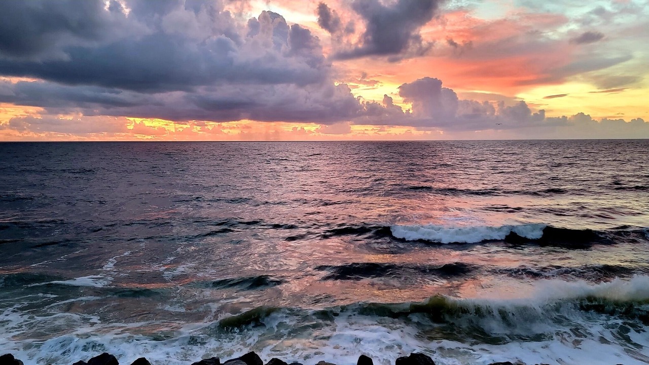 Photo of Others in North Carolina Coast