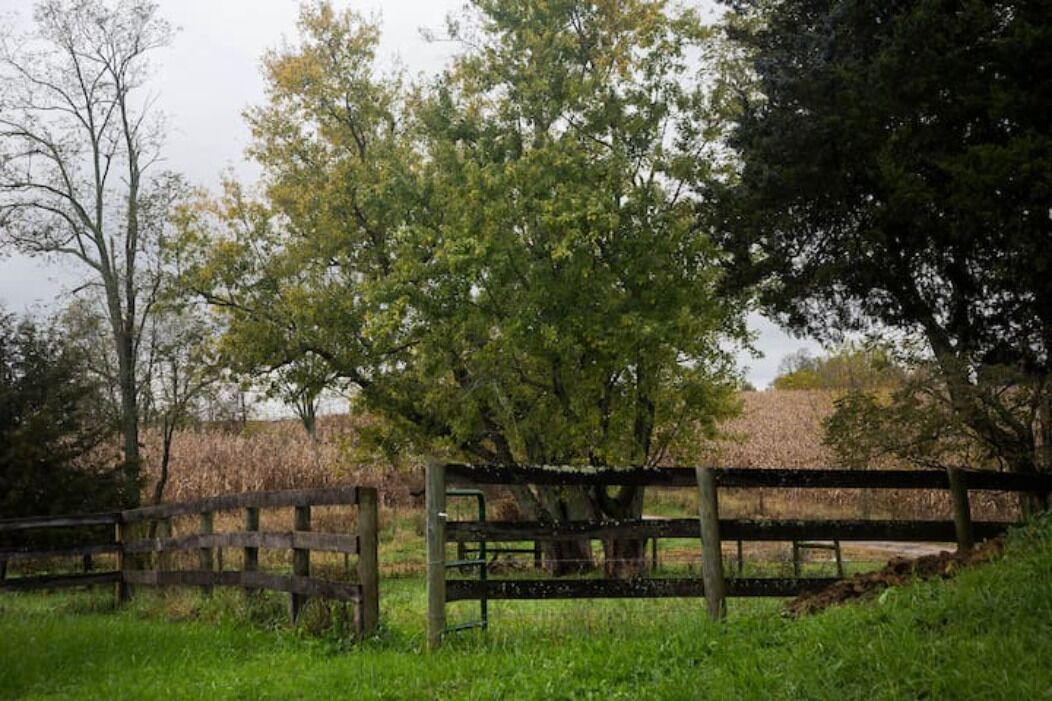 Photo of Outdoor in Winchester