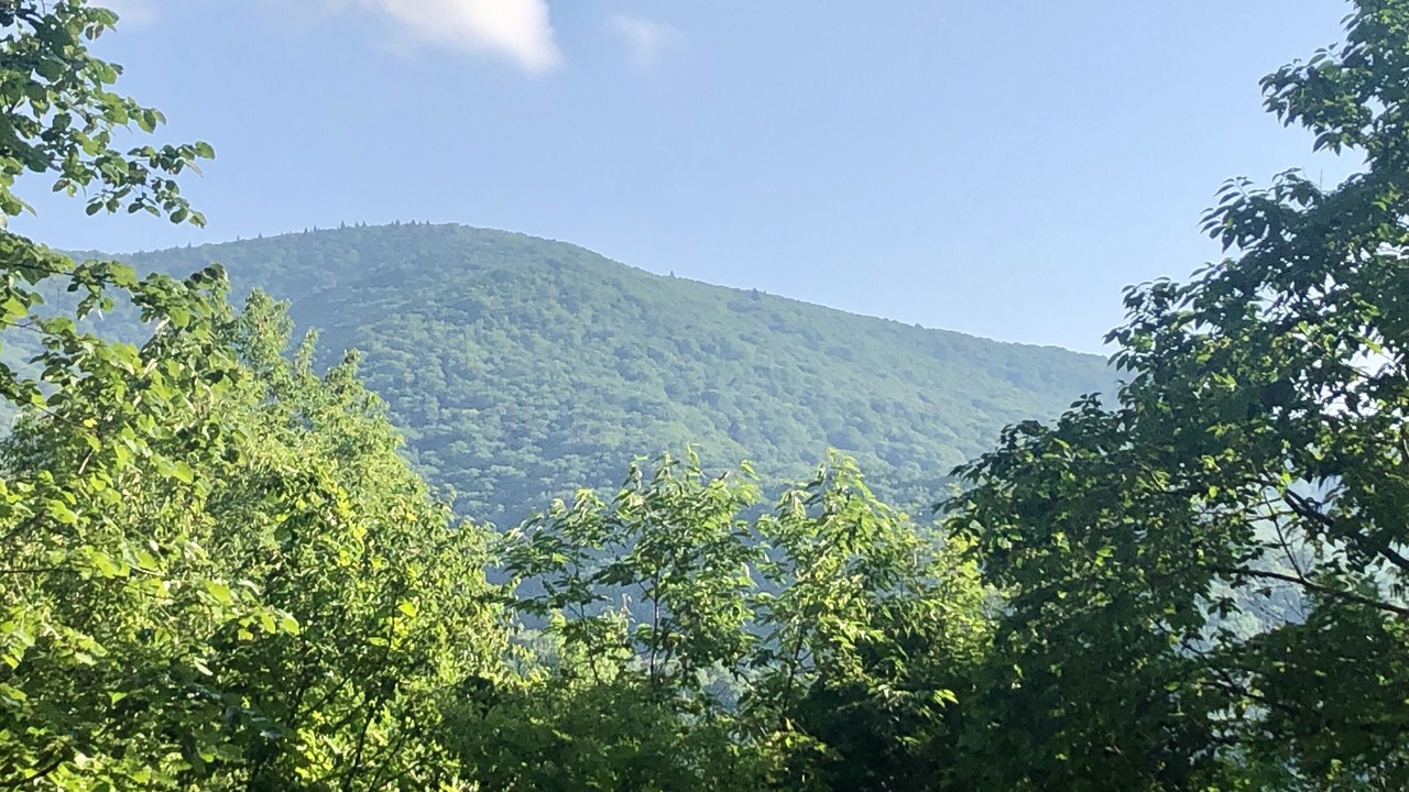 Photo of Others in Walker-In-the-Hills