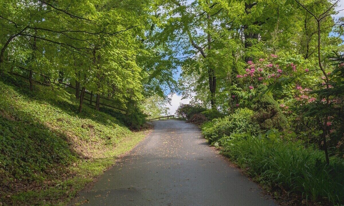 Photo of Others in Lake Junaluska