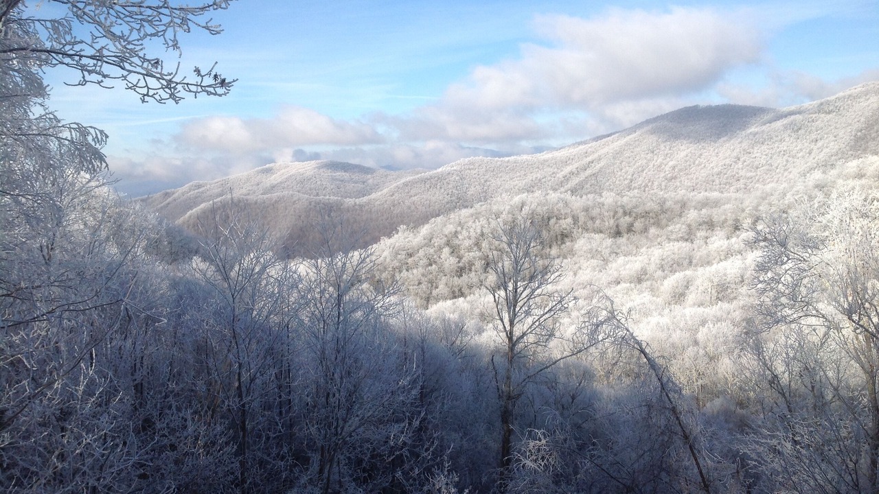 Photo of Outdoor in Cranberry Falls