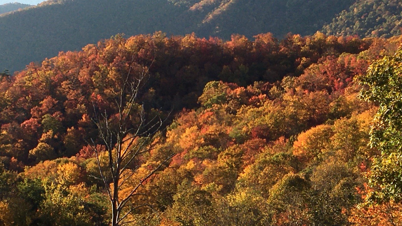 Photo of Outdoor in Cranberry Falls