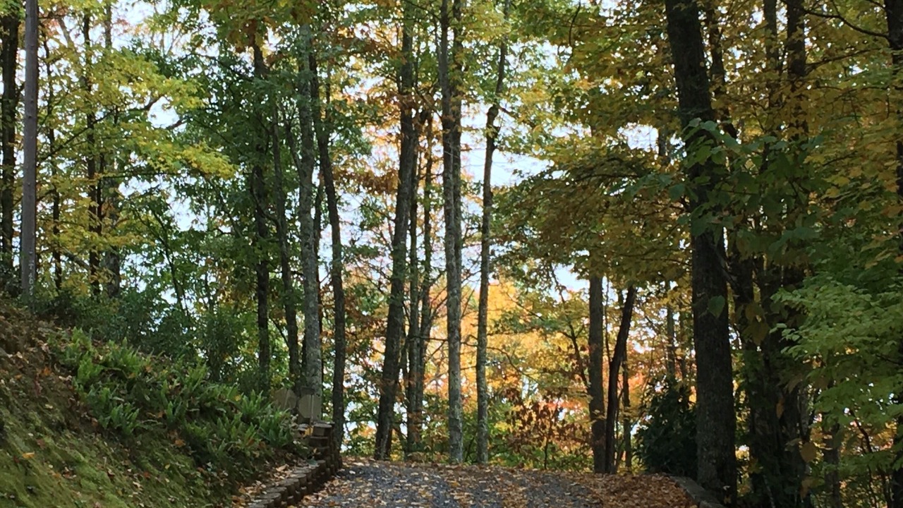 Photo of Others in Cranberry Falls