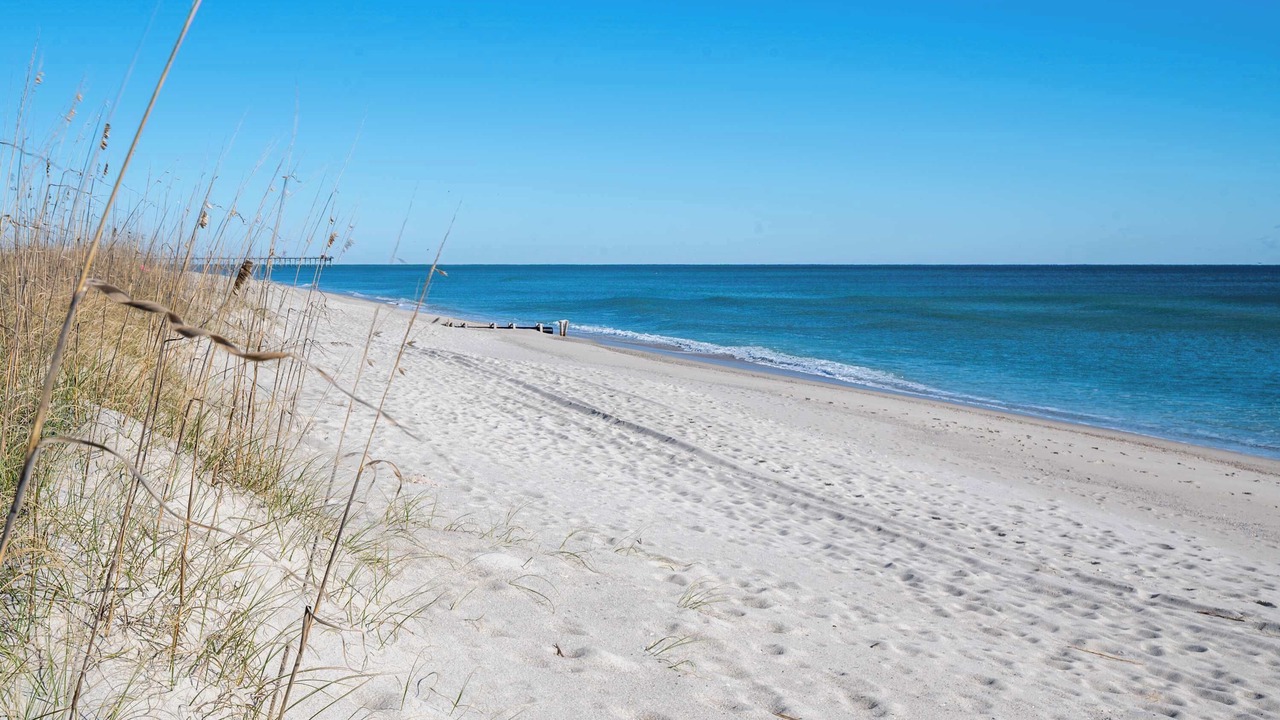 Photo of Others in Kure Beach