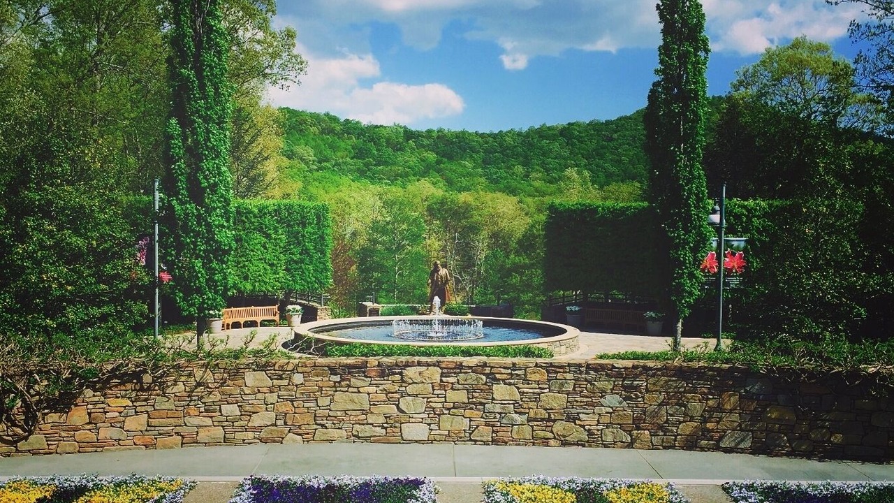 Photo of Others in Bent Creek