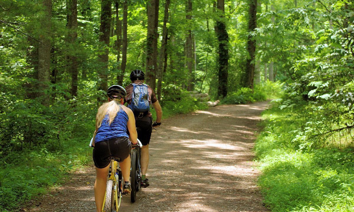 Photo of Outdoor in Bent Creek