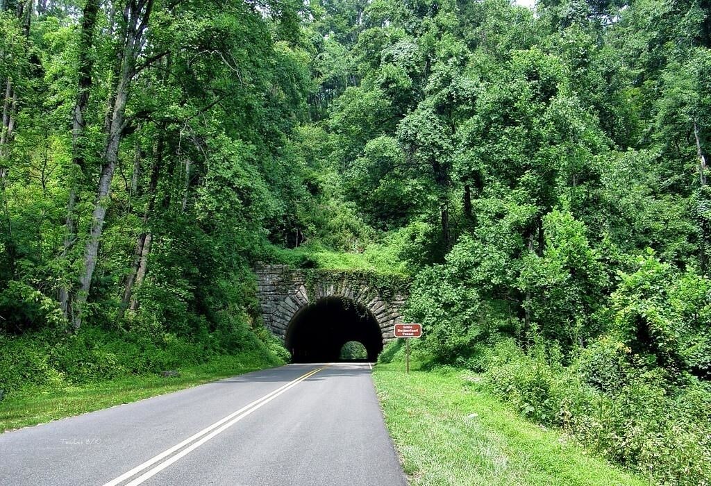 Photo of Others in Bent Creek