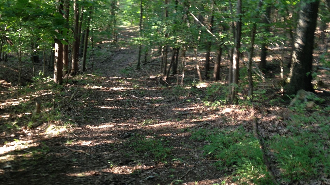 Photo of Others in Franklin
