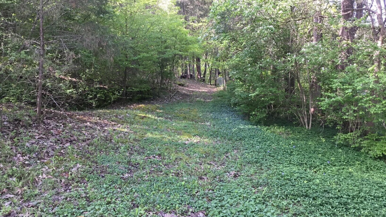 Photo of Outdoor in Franklin
