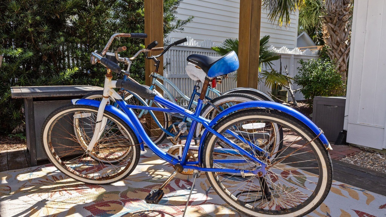 Photo of Outdoor in Morehead City