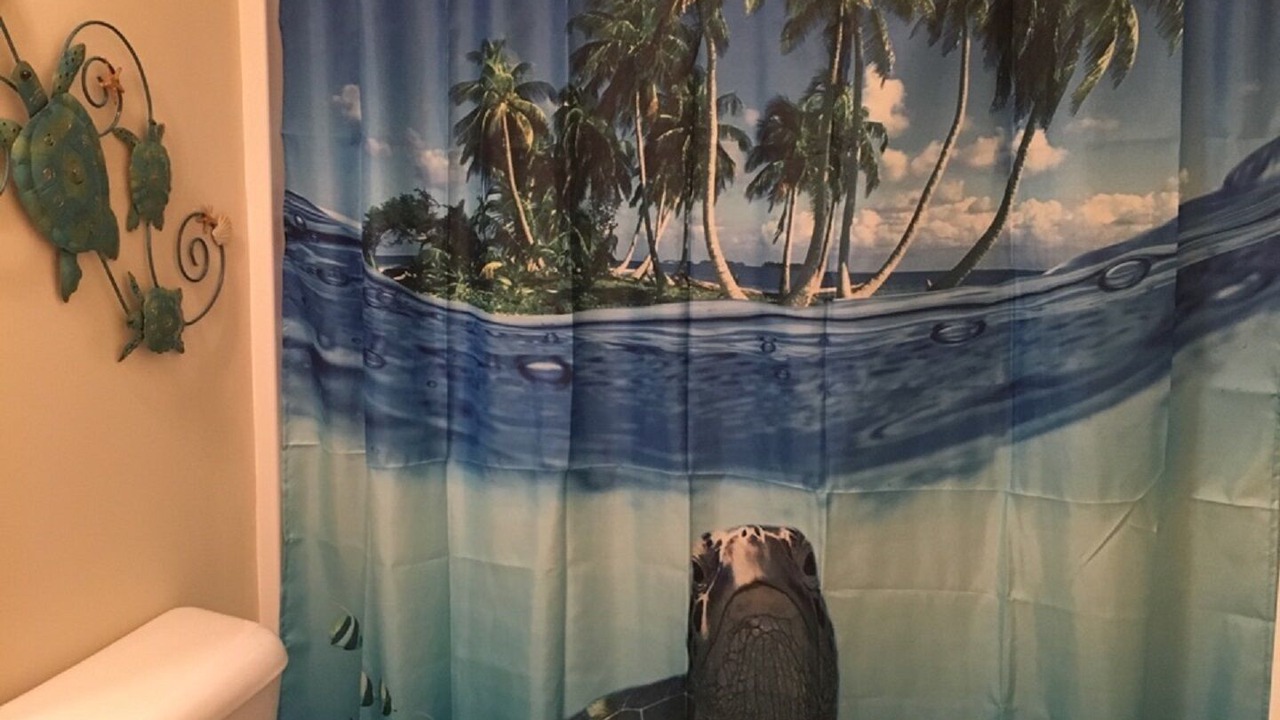 Photo of Others in North Carolina Coast
