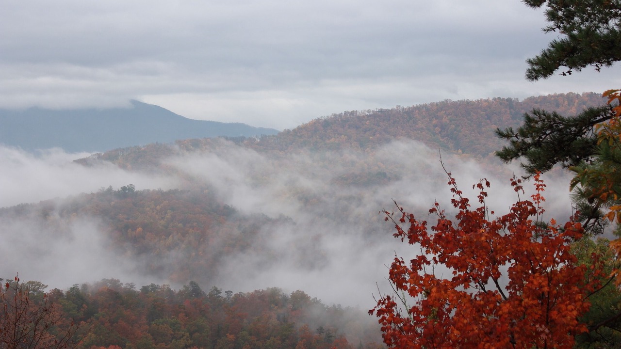 Photo of Others in Pigeon Forge
