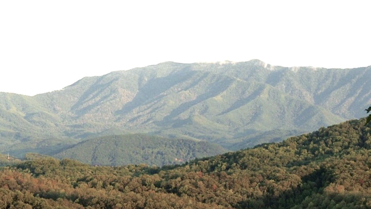 Photo of Others in Pigeon Forge