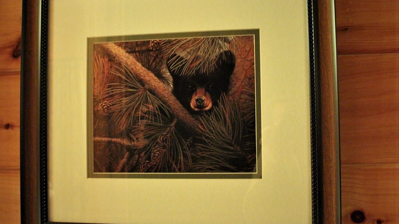 Photo of Others in Pigeon Forge