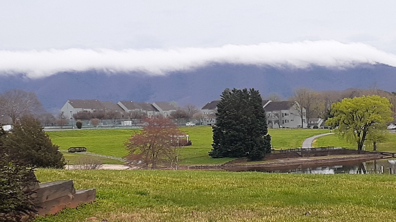 Photo of Outdoor in North Shore