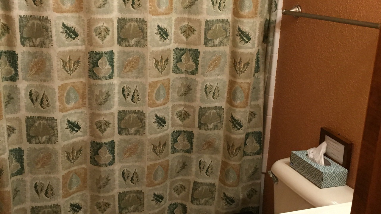 Photo of Bathroom in Big Creek