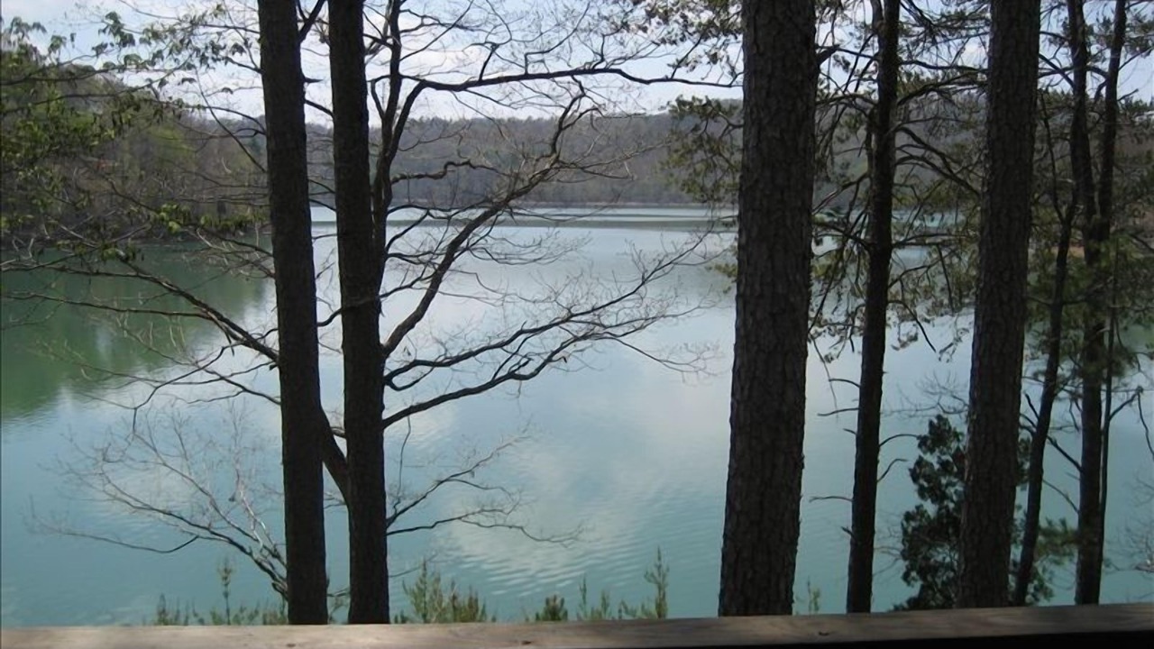 Photo of Others in Big Creek