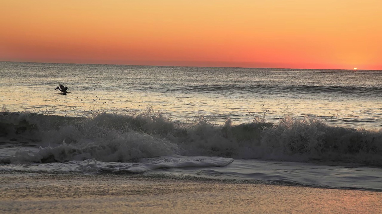 Photo of Others in North Carolina Coast