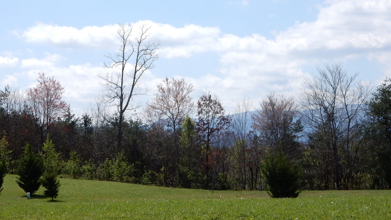 Photo of Others in Pigeon Forge