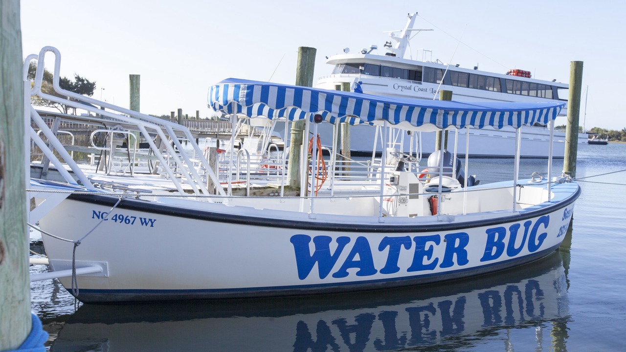 Photo of Others in Morehead City