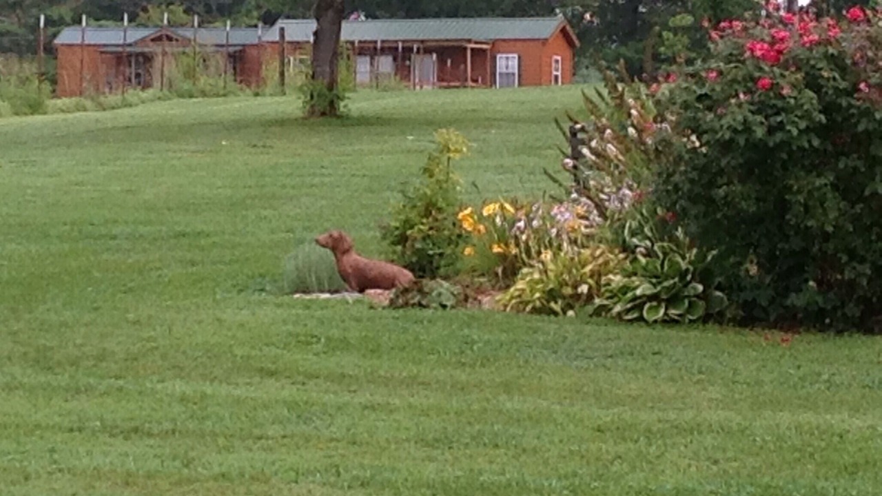 Photo of Outdoor in Byrdstown