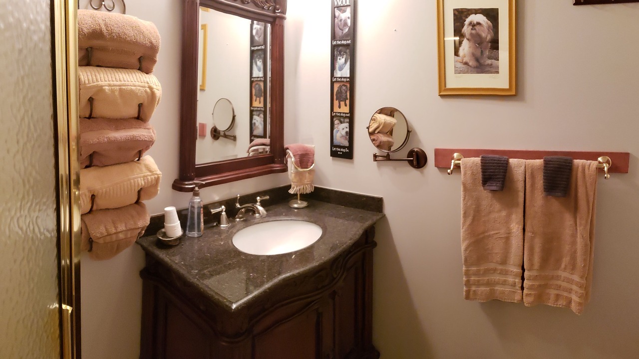 Photo of Bathroom in Sylva