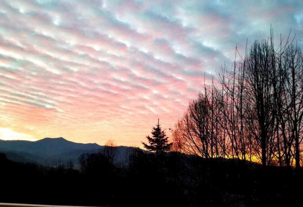 Photo of Others in Sylva