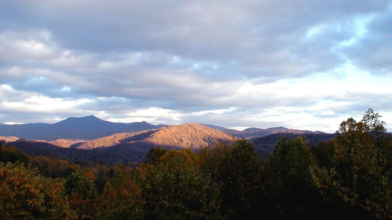 Photo of Others in Sylva