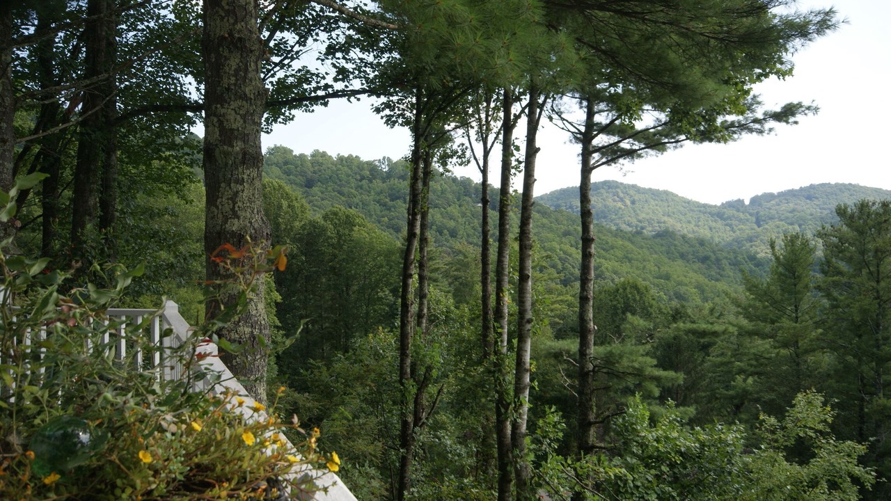 Photo of Outdoor in Boone