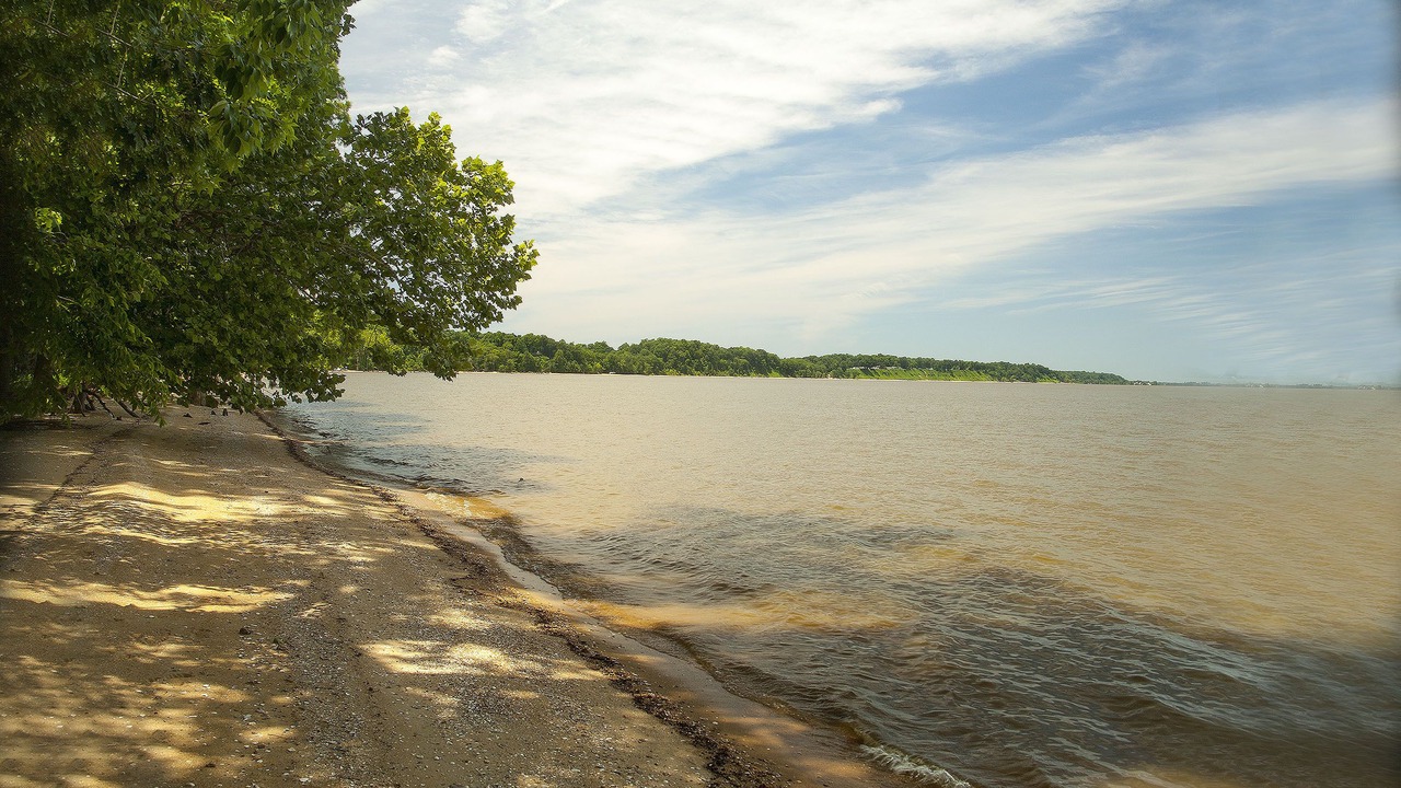 Photo of Others in Spring Grove