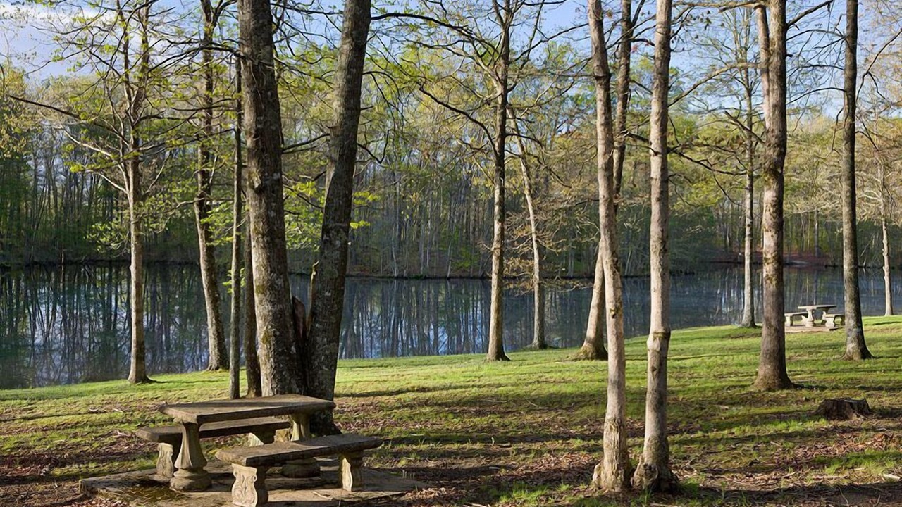 Photo of Outdoor in Crossville
