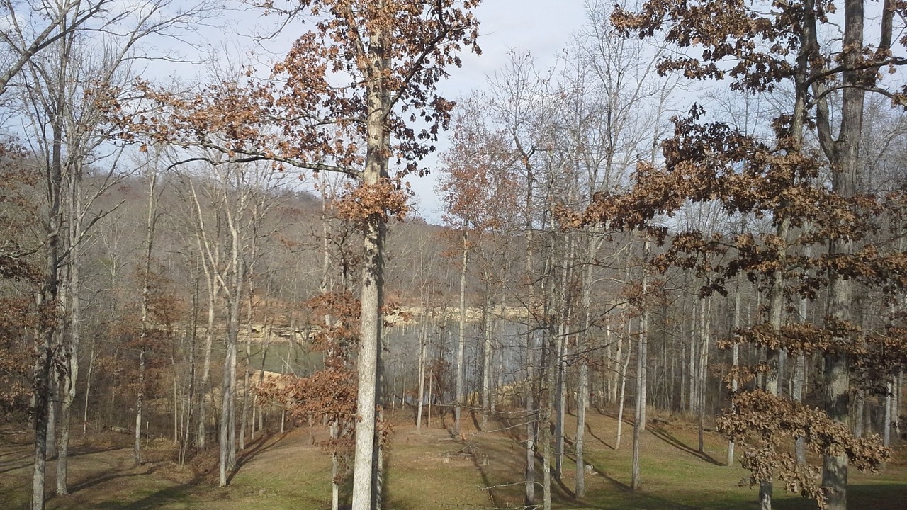 Photo of Outdoor in Bee Spring