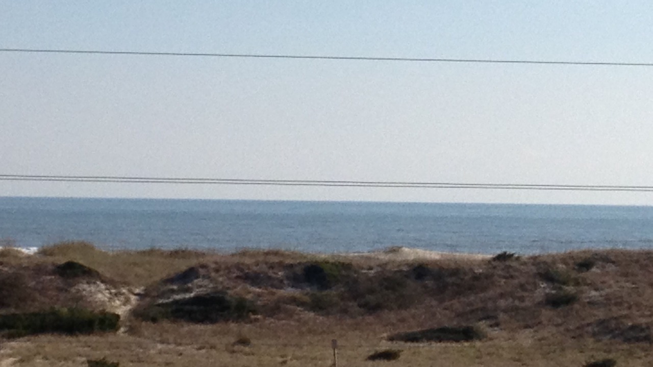 Photo of Others in Salvo