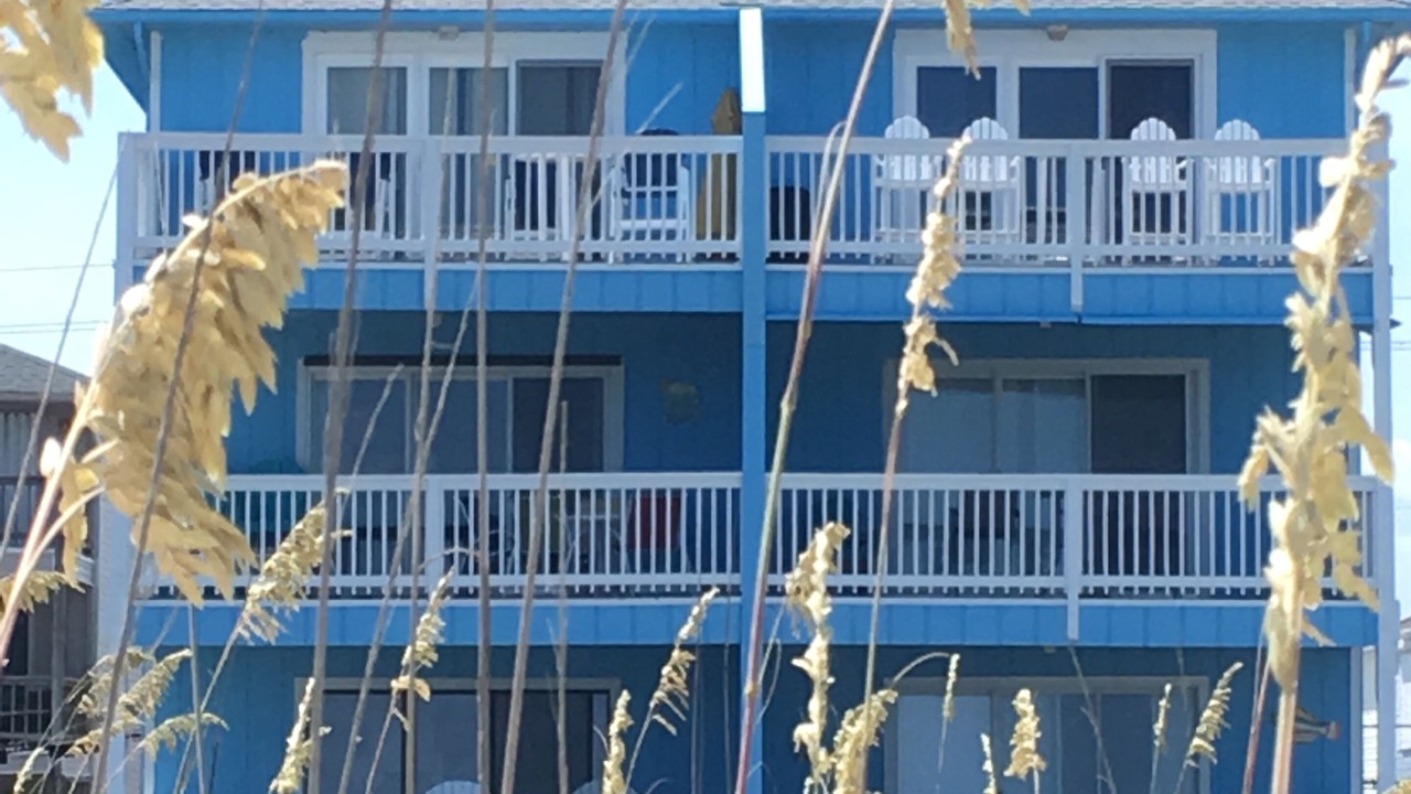 Photo of Others in North Carolina Coast