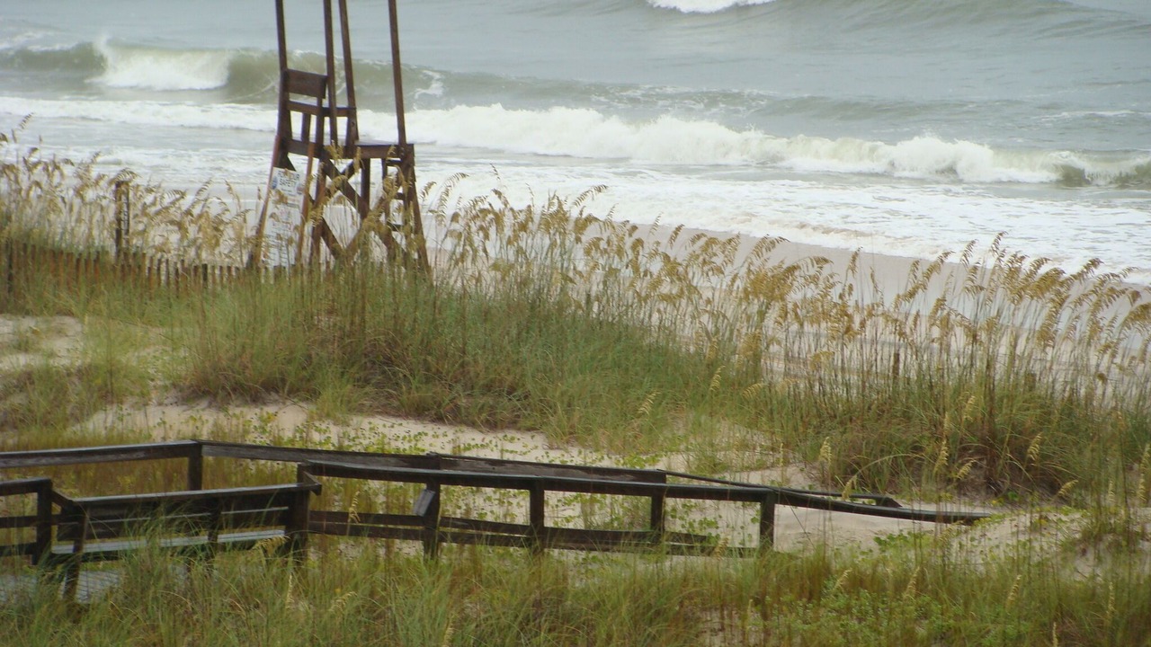 Photo of Others in North Carolina Coast